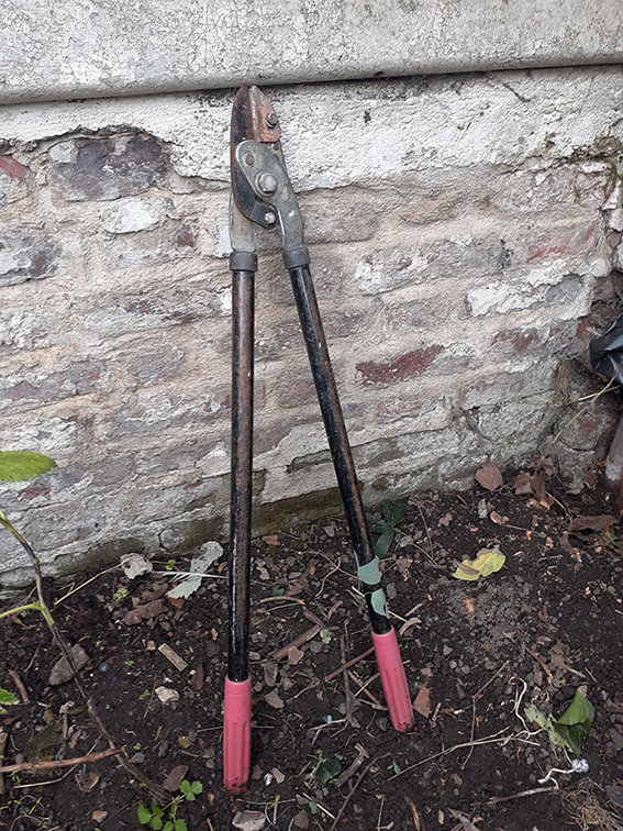coupe-branche