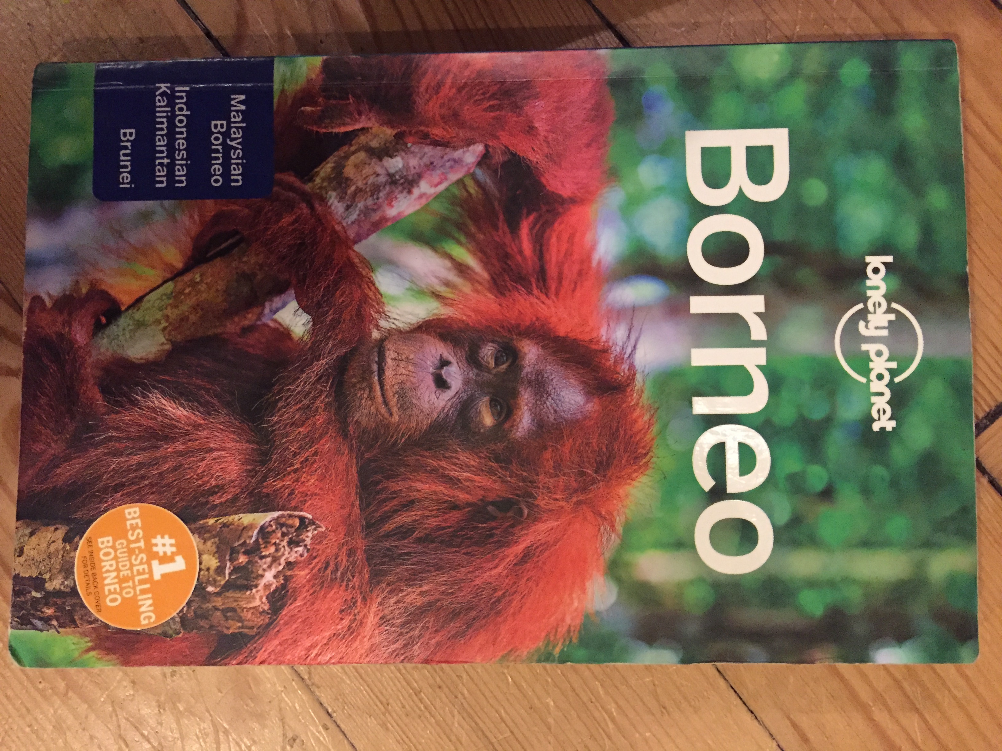 Guide - Borneo