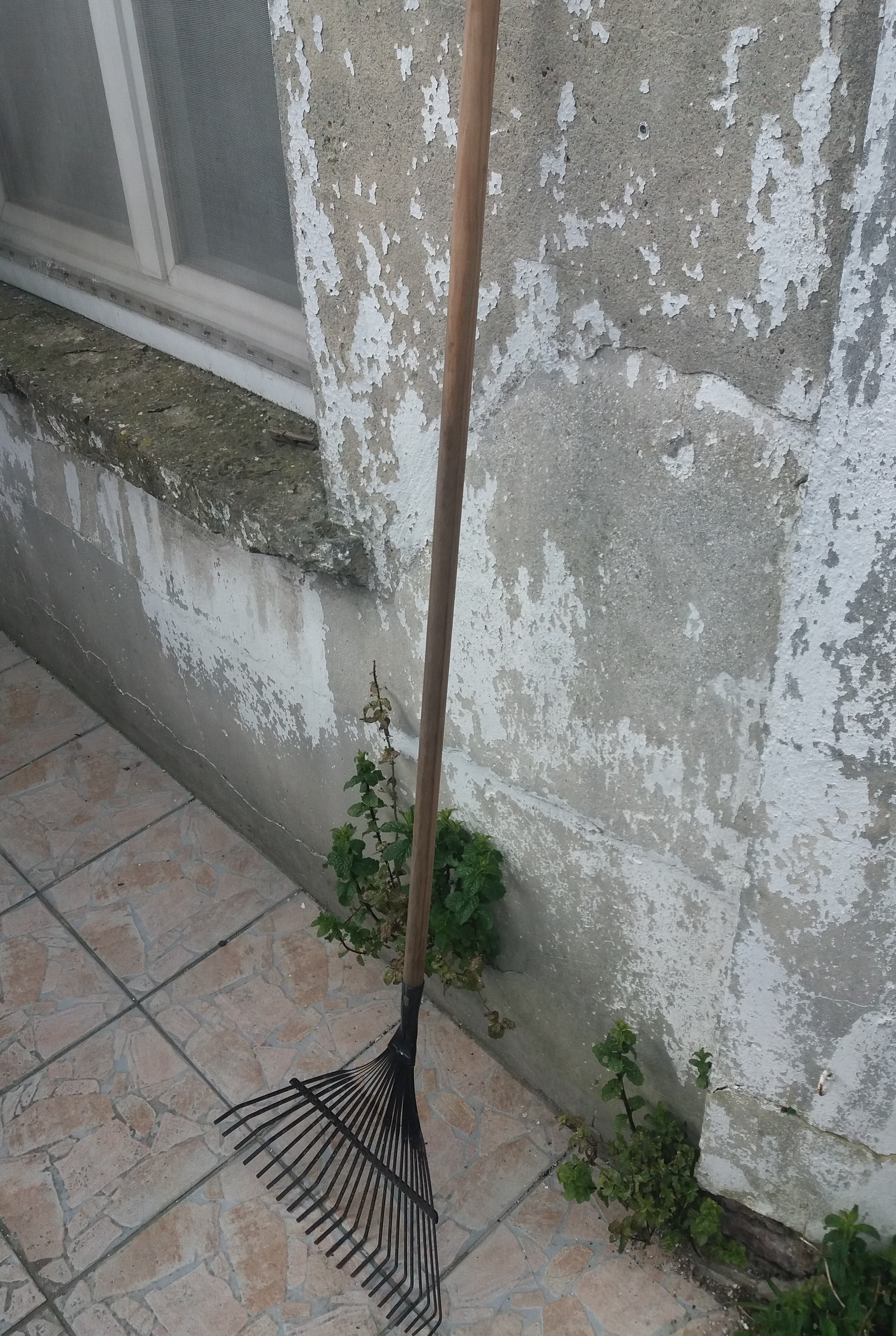 Ramasse-feuille