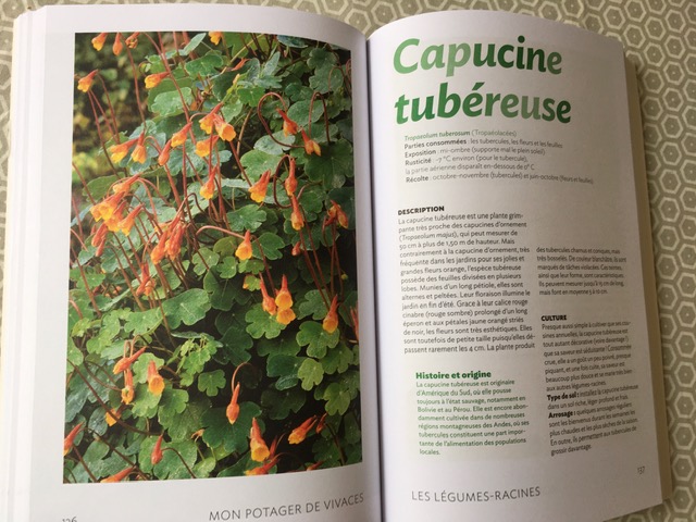 Livre "Mon potager de vivaces"