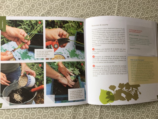 Livre "Je multiplie les plantes du jardin"